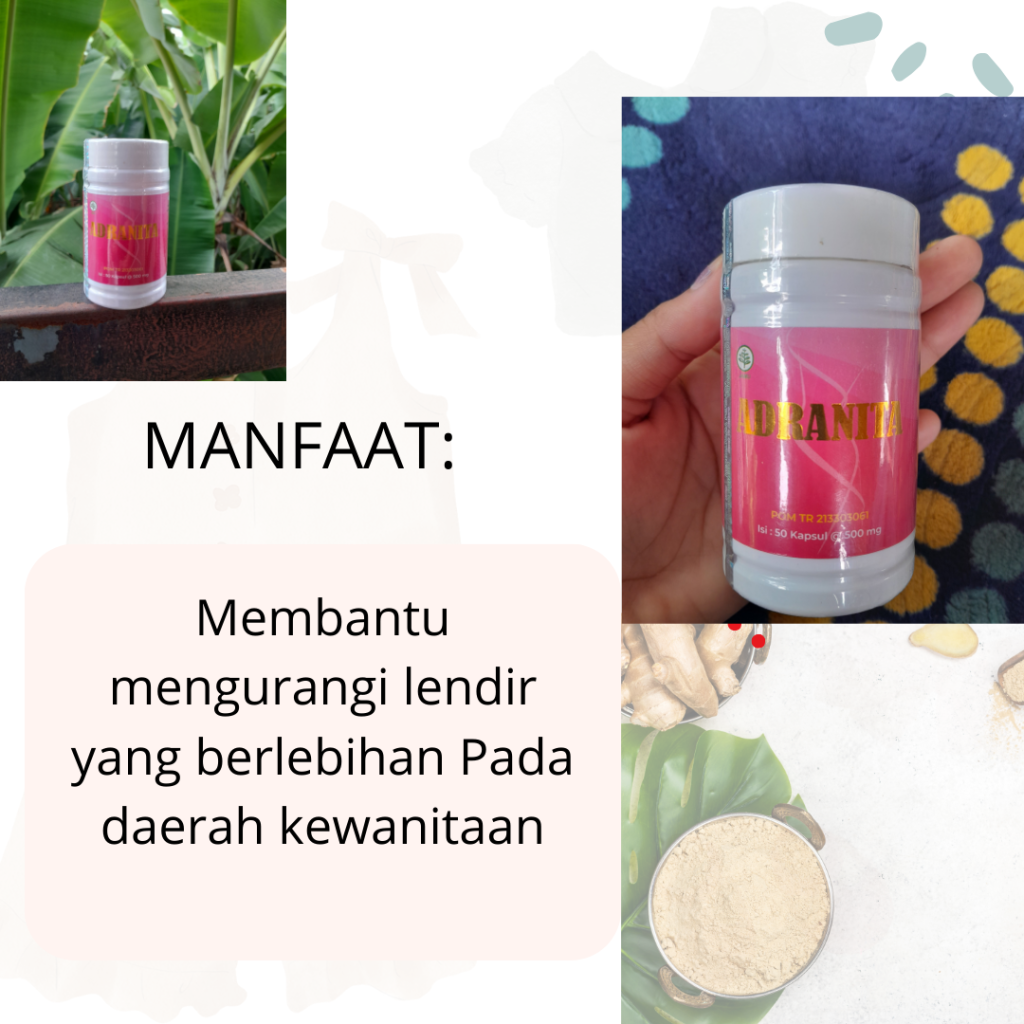 MANFAAT DAUN JATI BELANDA (3)