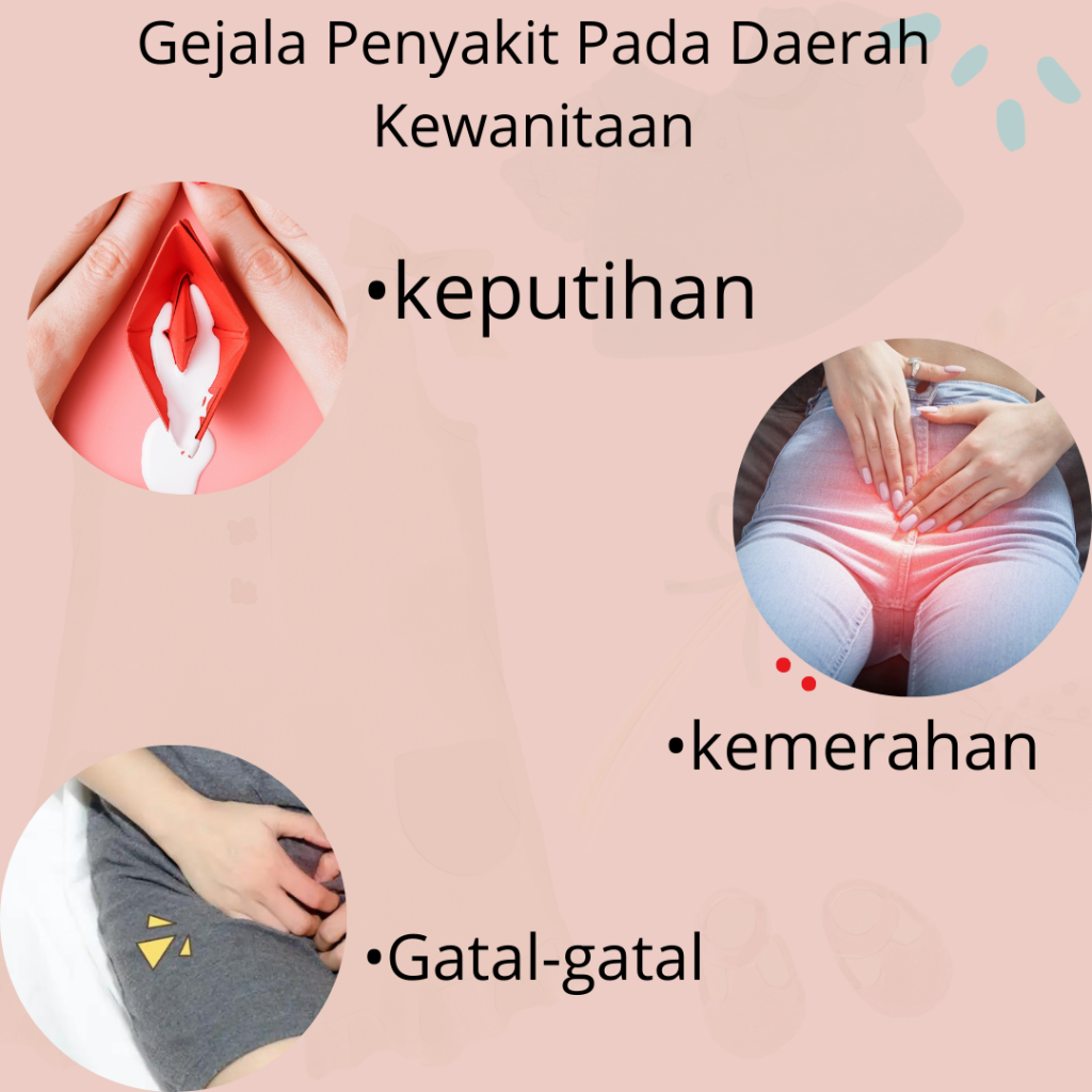 MANFAAT DAUN JATI BELANDA (6)