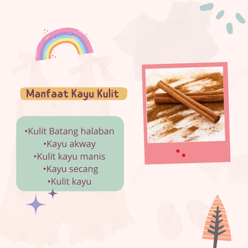 MANFAAT KAYU KULIT
